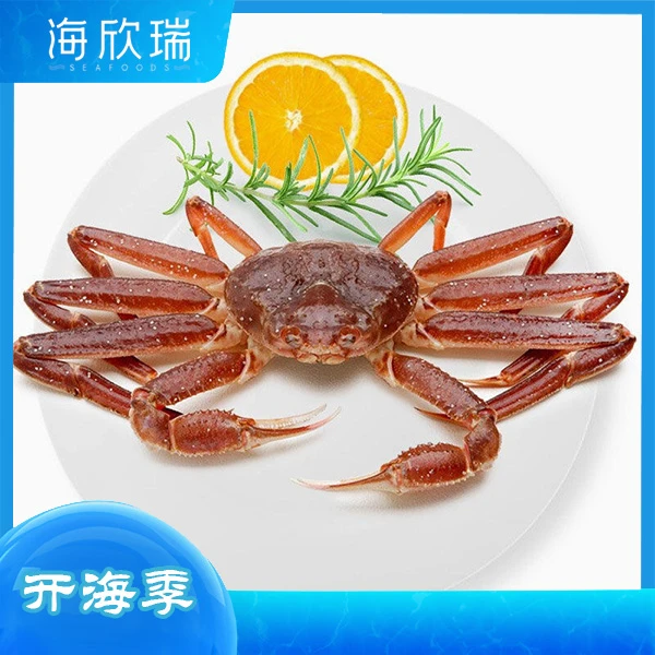 鲜活板蟹一只
