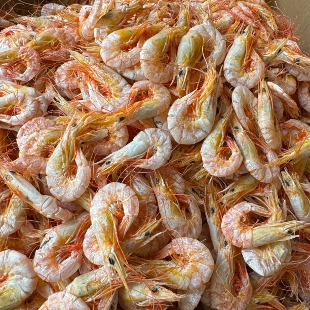 海虾沙虾海卢当零食吃马宫港活海卢虾干虾脯野生海虾晒干即食虾干