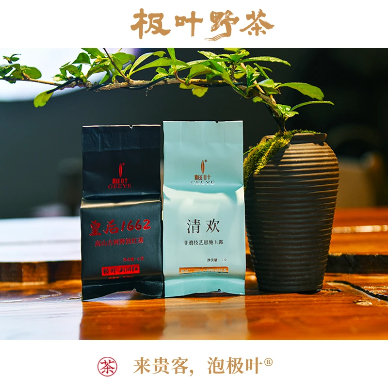 极叶野茶2023春茶恩施玉露含硒特级明前蒸青茶礼盒装清香型品鉴装