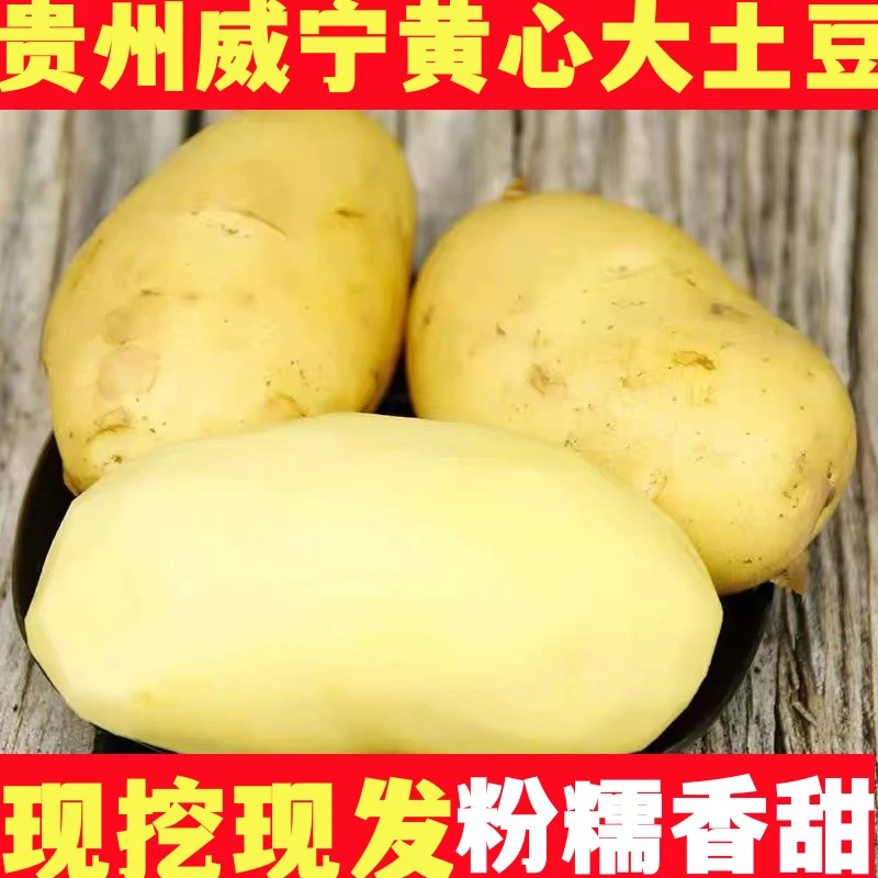 贵州新鲜洋芋5斤10斤贵州土豆威宁农家洋芋新土豆黄心洋芋马铃薯