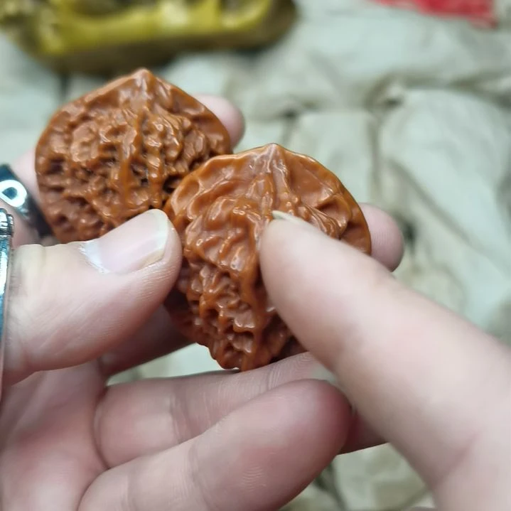 【闪购商品】瓷瓷片