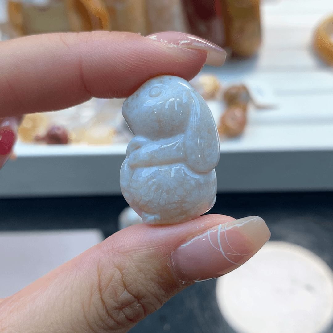 硅化珊瑚（珊瑚玉）颈饰未镶嵌