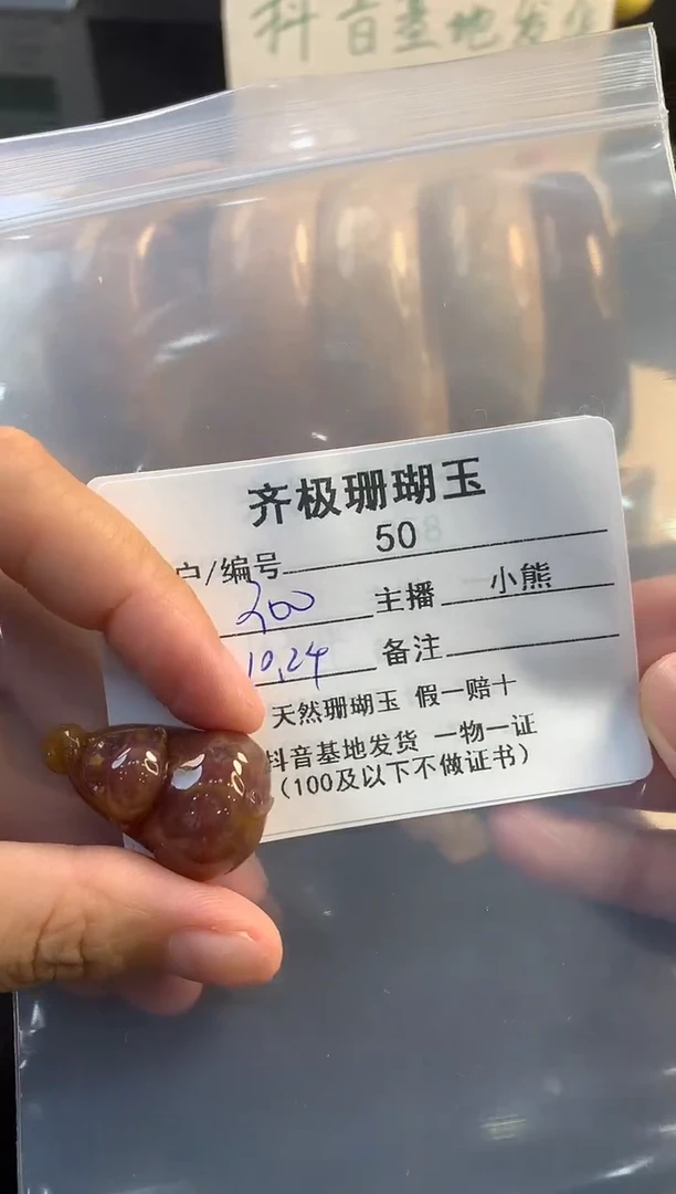 【闪购商品】硅化珊瑚（珊瑚玉）颈饰未镶嵌紫**梦50