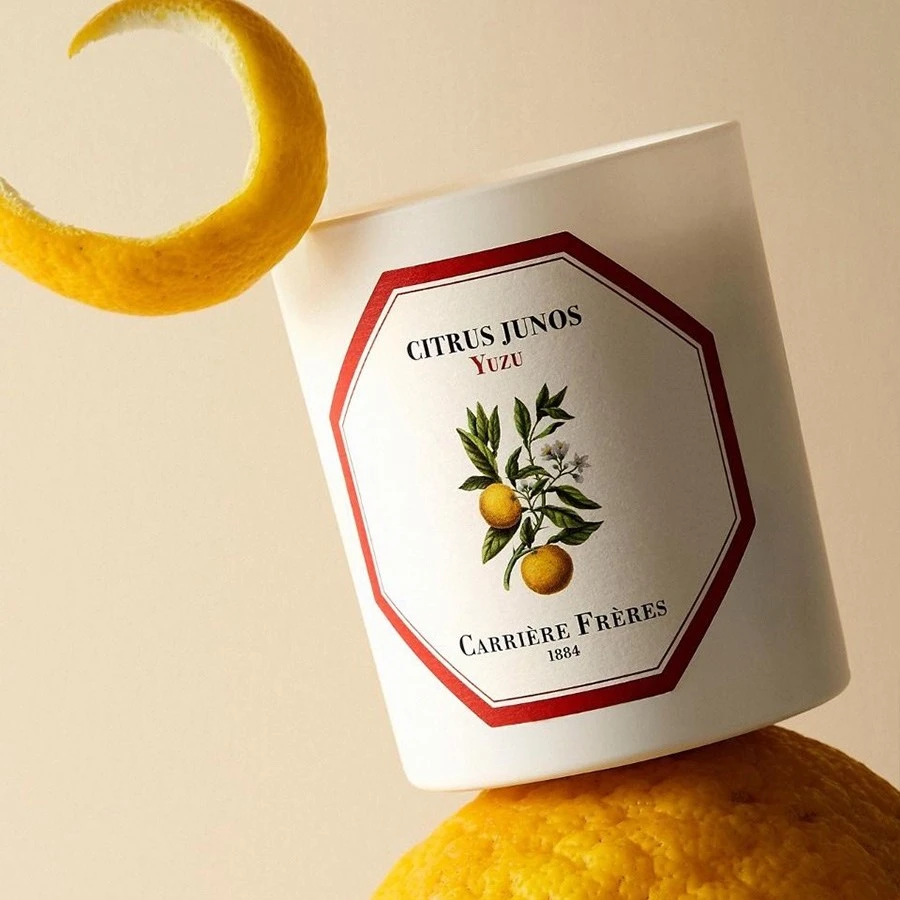 Carriere Freres法国植物学家草本香薰蜡烛卧室小众留香持久礼物