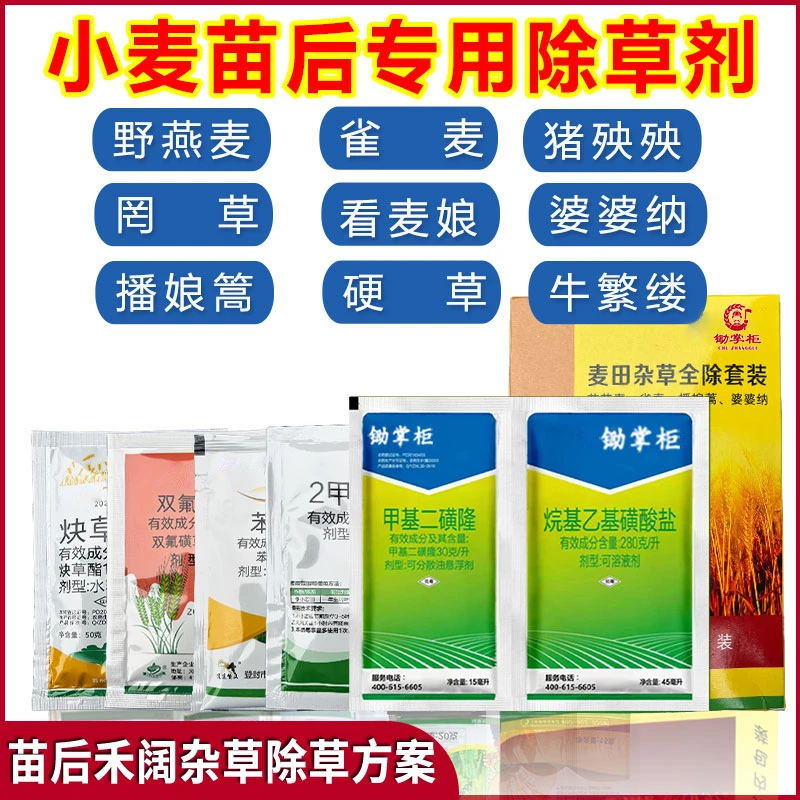锄掌柜小麦除草剂组合苗后专用节节麦野燕麦播娘蒿荠菜猪殃殃繁缕
