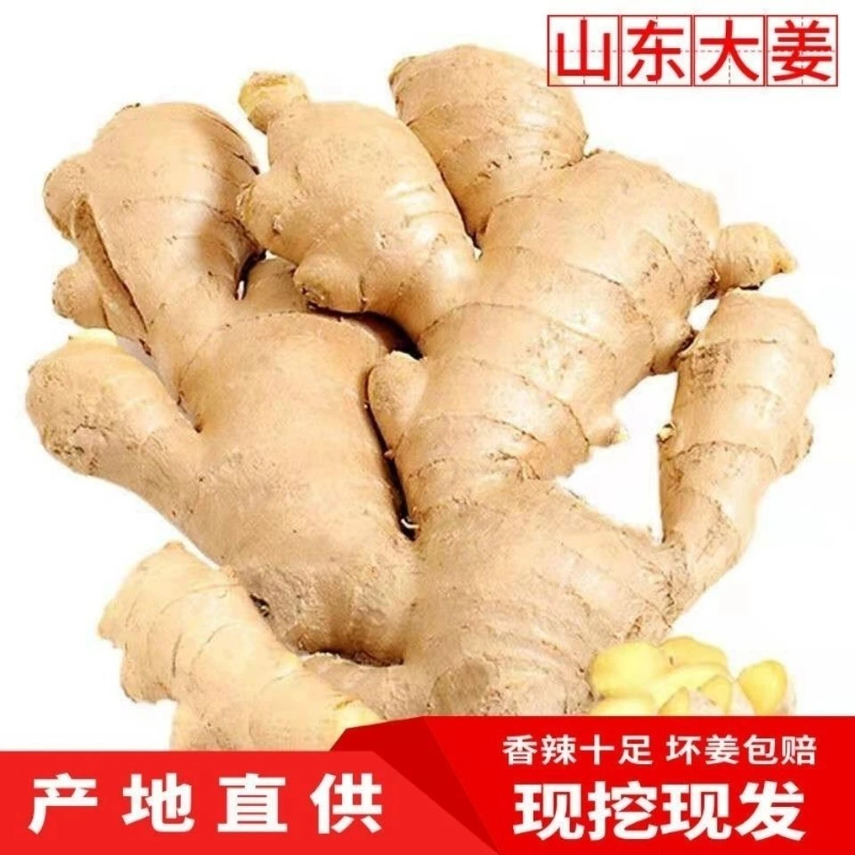 生姜老姜大姜干净无土生姜蔬菜大黄姜月子姜生鲜姜山东姜1g包赔