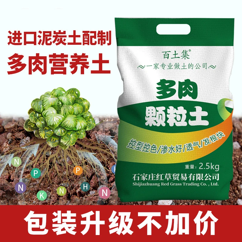 多肉法师专用颗粒土进口营养土家用叶插铺面种植花土植物疏松