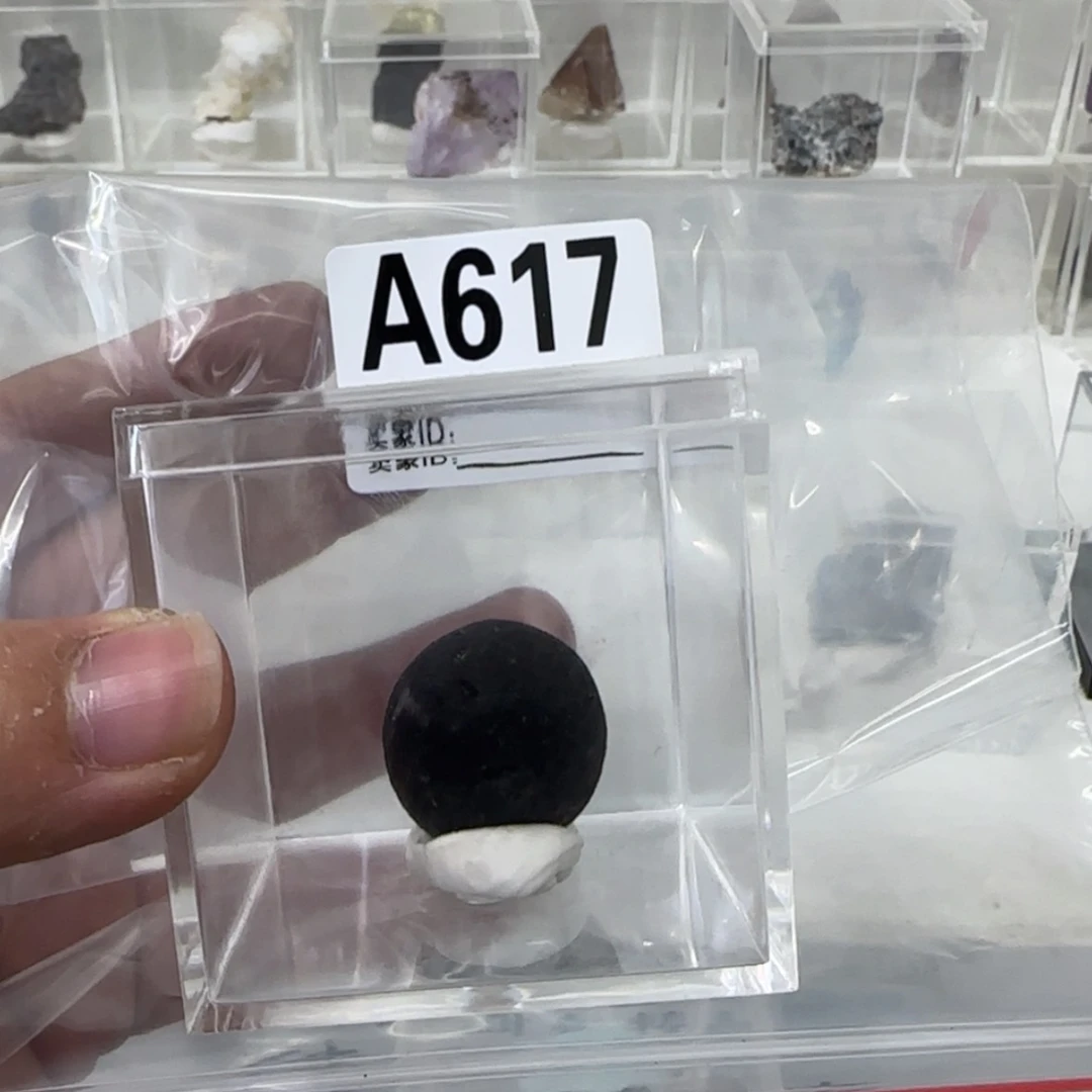 【闪购商品】堇青石陨石未镶嵌