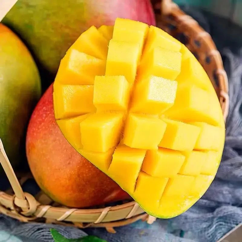 【小乐优选】四川 攀枝花芒果   一箱 5斤左右  新鲜食用  味道好吃