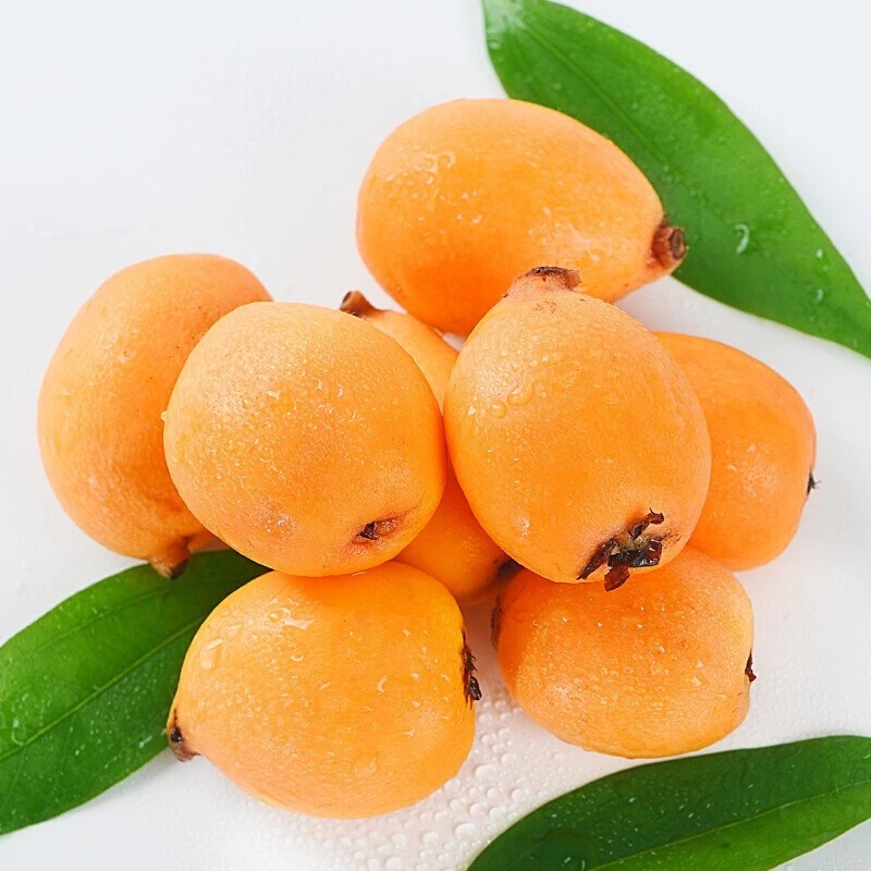 【小乐优选】云南枇杷果新鲜食用清甜好吃一箱 1.5斤左右新鲜应季