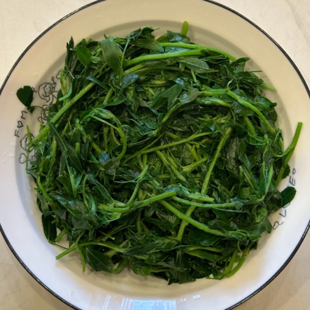 陕北野菜苜蓿菜苦菜