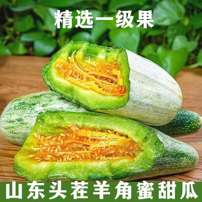 【老潘亲选】山东头茬羊角蜜甜瓜脆甜多汁现摘当季水果5斤包邮