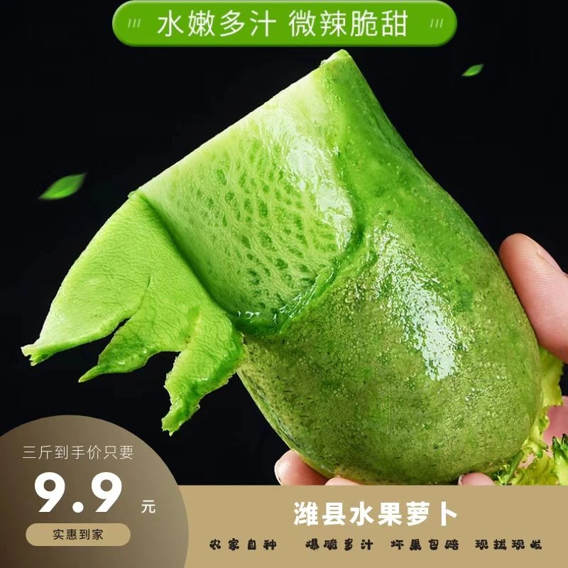 【现拔现发】潍坊水果萝卜生吃脆甜多汁微辣青萝卜包邮3/5/9斤