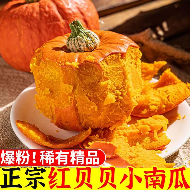 正宗红贝贝小南瓜板栗味金粉贝贝当季新鲜辅食蔬菜3-4.5斤包邮