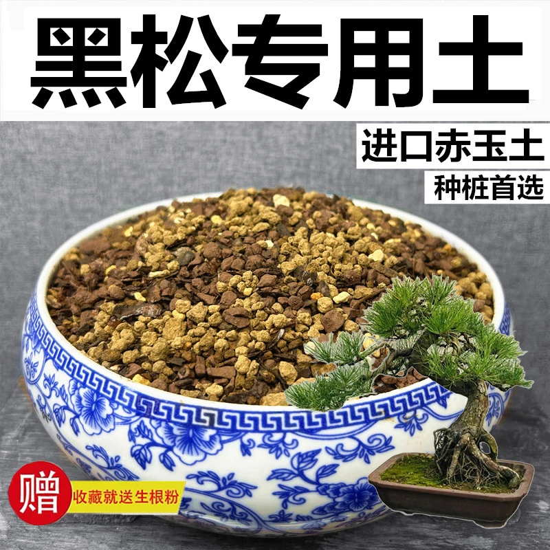 黑松专用土赤玉土风化土颗粒土营养土种植土弱酸性土玉肥专用肥