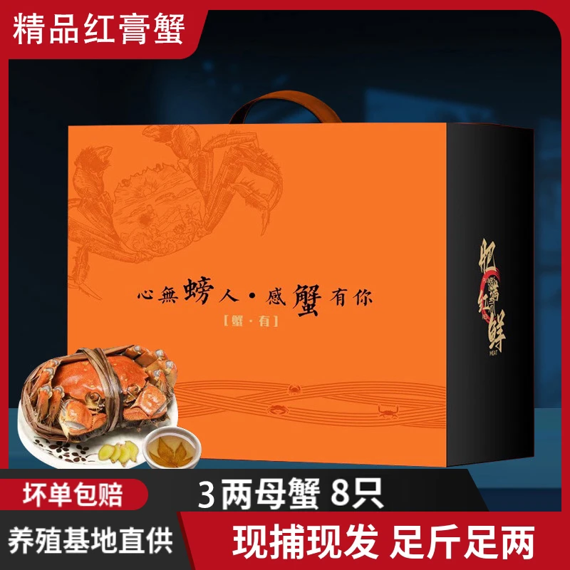 【蟹有】-【活蟹】鲜活精品红膏蟹2.8-3.1两母蟹8只礼盒包邮空运