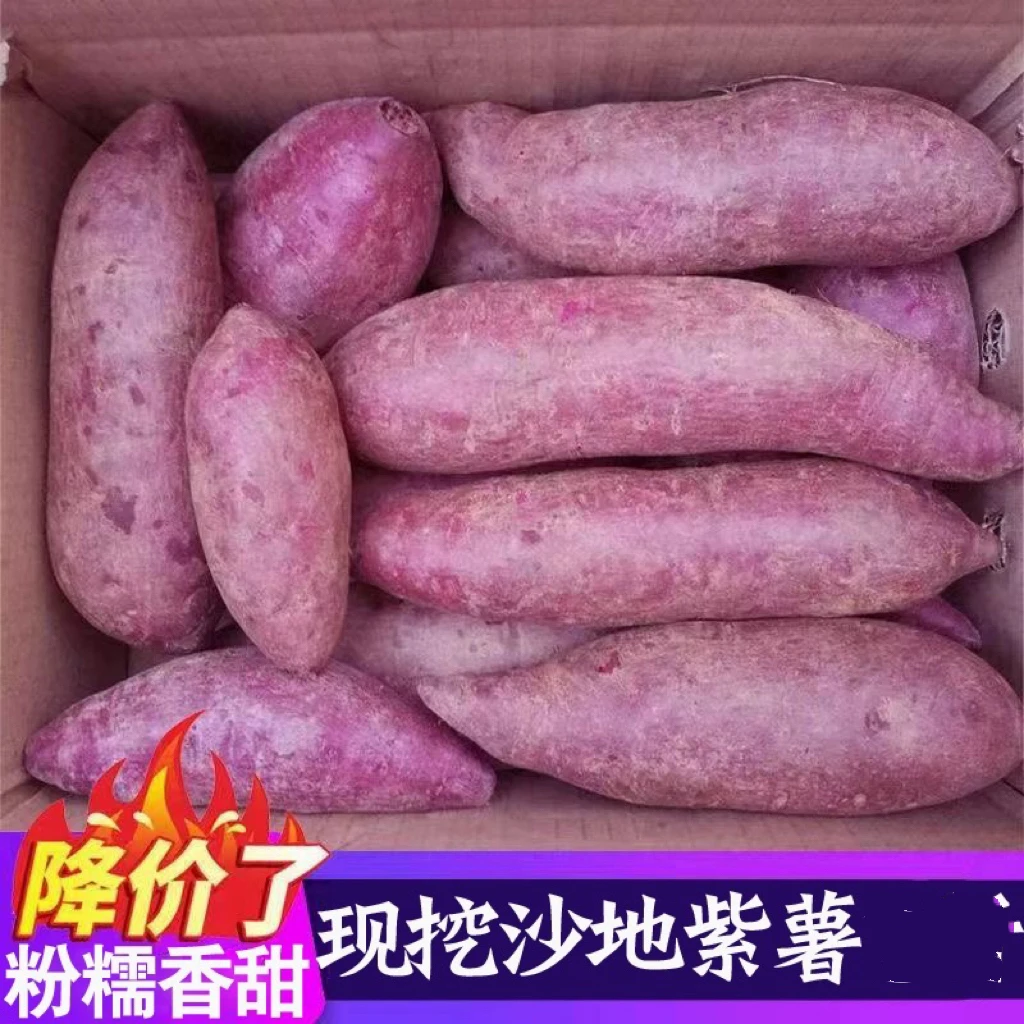【浮力抢购中】新鲜紫罗兰紫薯番薯1/5/9粗粮蜜薯红薯正宗沙地地瓜
