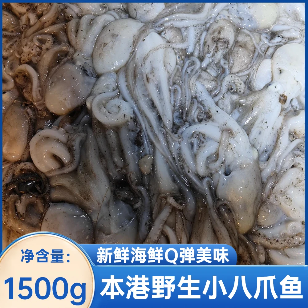 本港野生小八爪鱼新鲜海鲜Q弹美味当天鲜冻食用产品1500g包邮发货