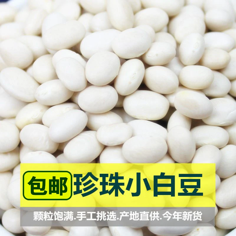 小白豆珍珠豆云南农家自种小白芸豆炖菜煲汤打豆浆豆类杂粮