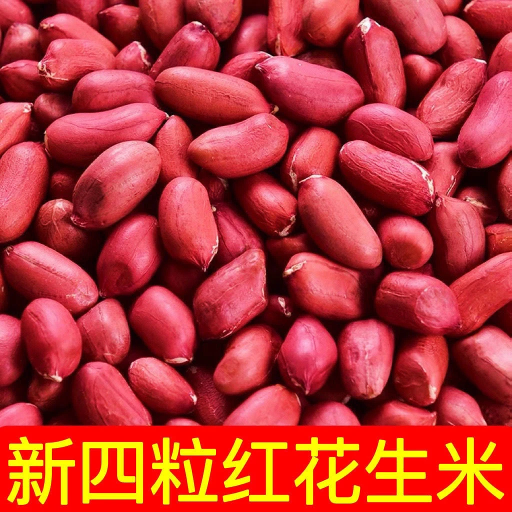 东北四粒红花生红皮花生米农家干瘪四粒红花生仁四粒红红衣花生米