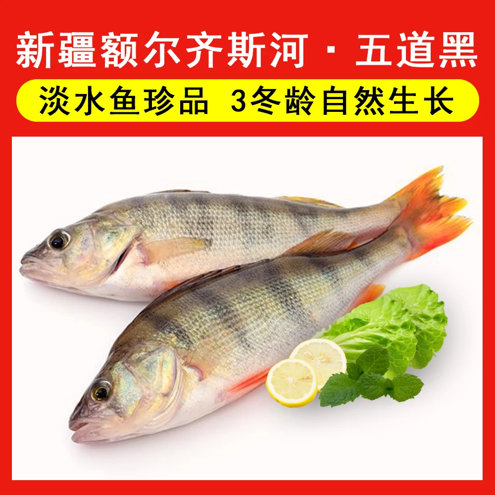 新疆水产五道黑1kg(5-6条)