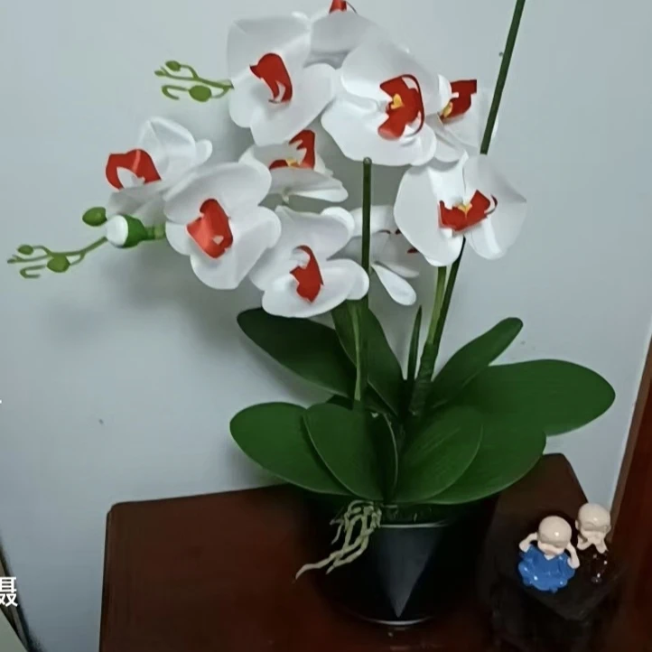 仿真蝴蝶兰花材材，DⅠY手工制作蝴蝶兰仿真花制作辅料