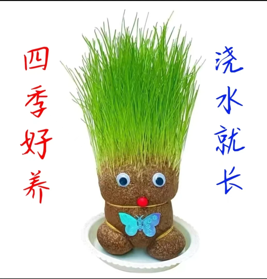 四季好养浇水就长草头娃娃长草娃娃桌面迷你小摆件童种植可爱植物