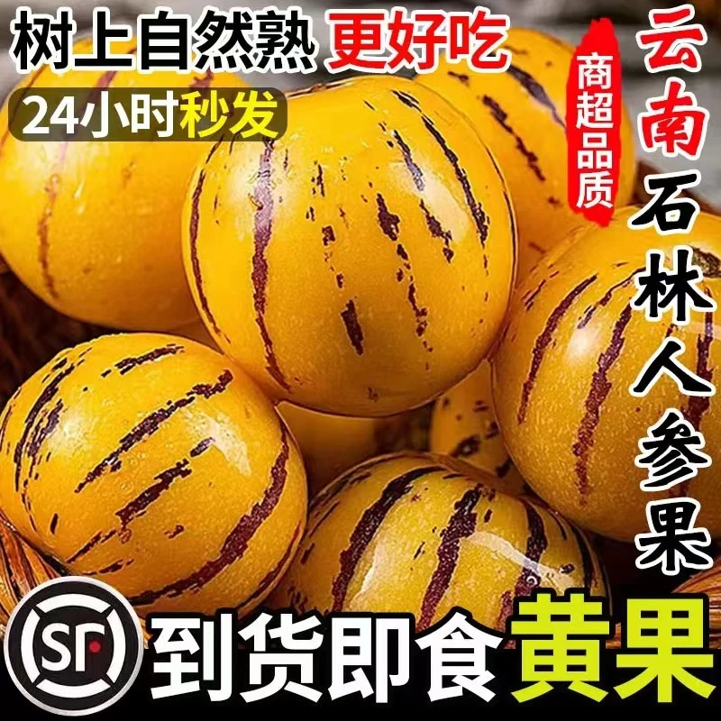 正宗云南石林新鲜应季黄心人参果一级孕妇宝宝水大果整箱便宜包邮