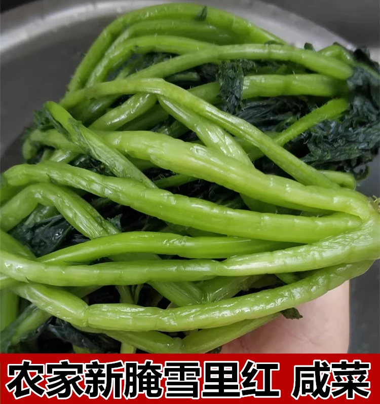 腌制雪里红好吃雪里蕻咸菜绿雪菜农家辣菜家乡下饭菜爽口食用酸菜