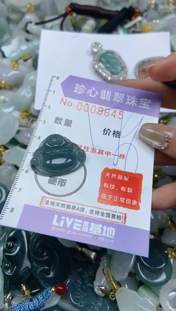 【闪购商品】翡翠颈饰未镶嵌闪购0009645