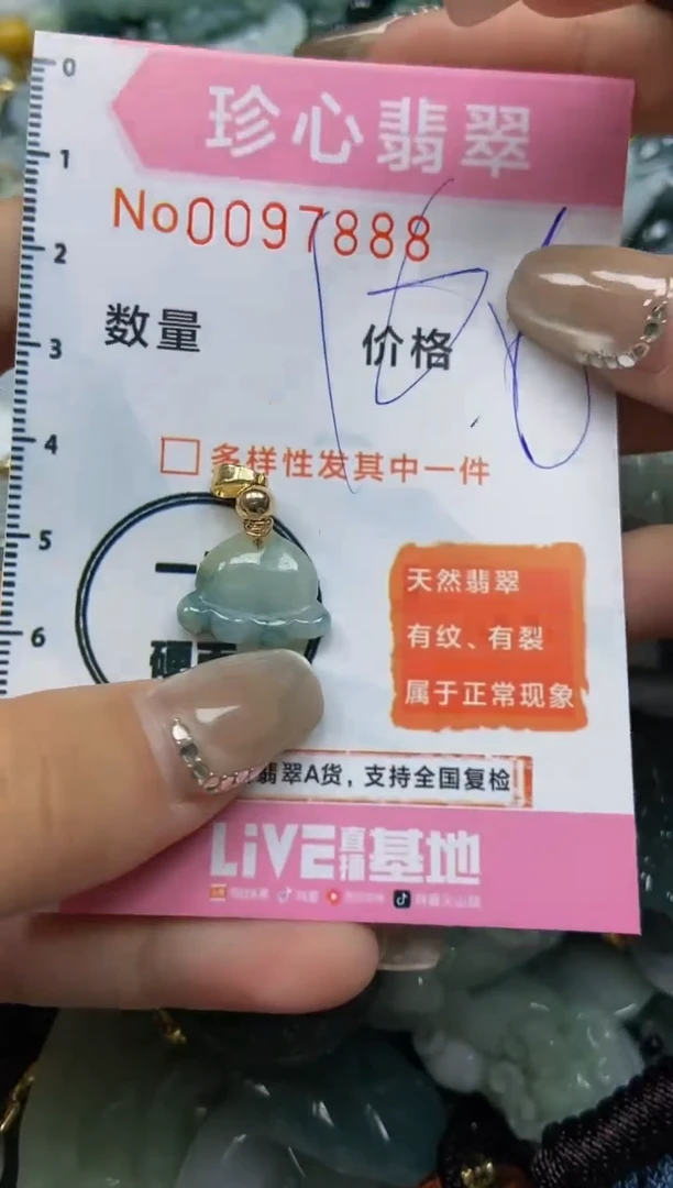 【闪购商品】翡翠颈饰未镶嵌闪购0097888