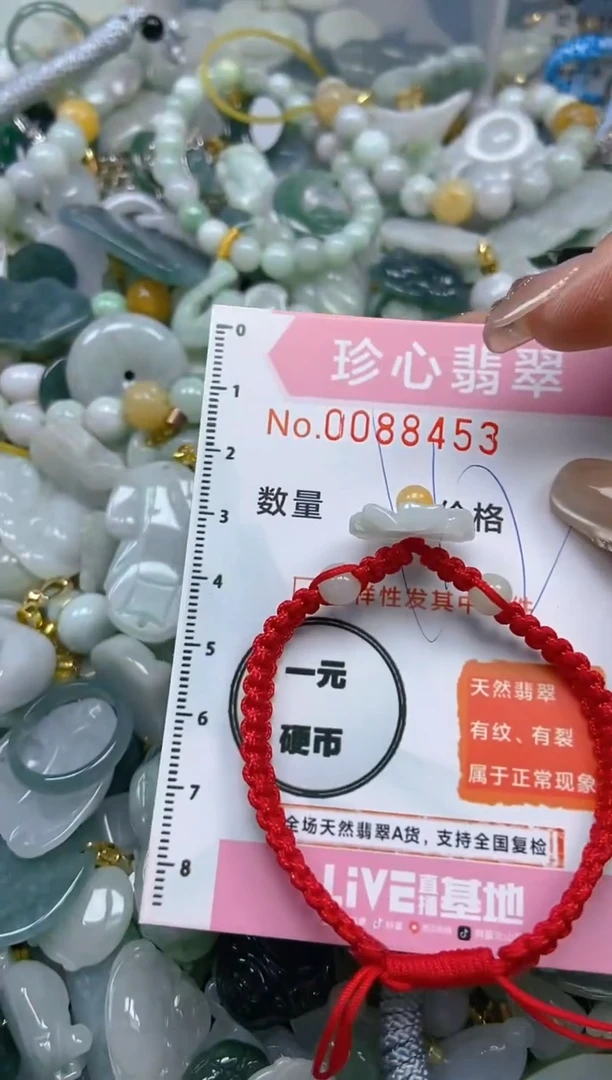 【闪购商品】翡翠颈饰未镶嵌闪购0088453