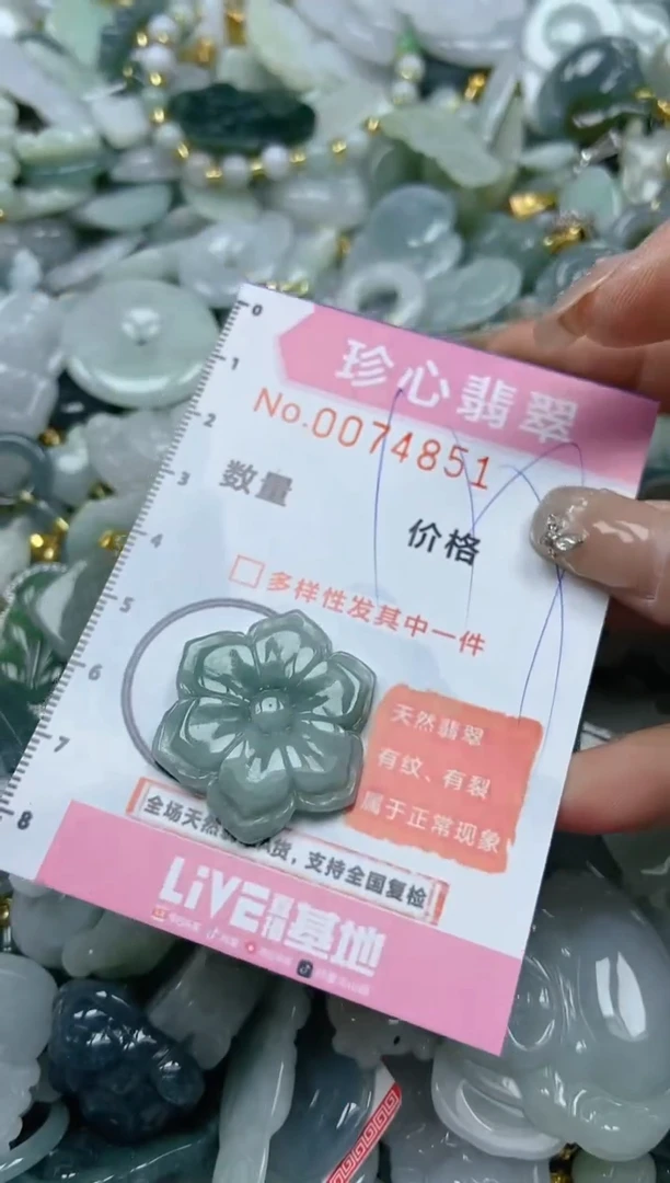 【闪购商品】翡翠颈饰未镶嵌闪购链接0074851