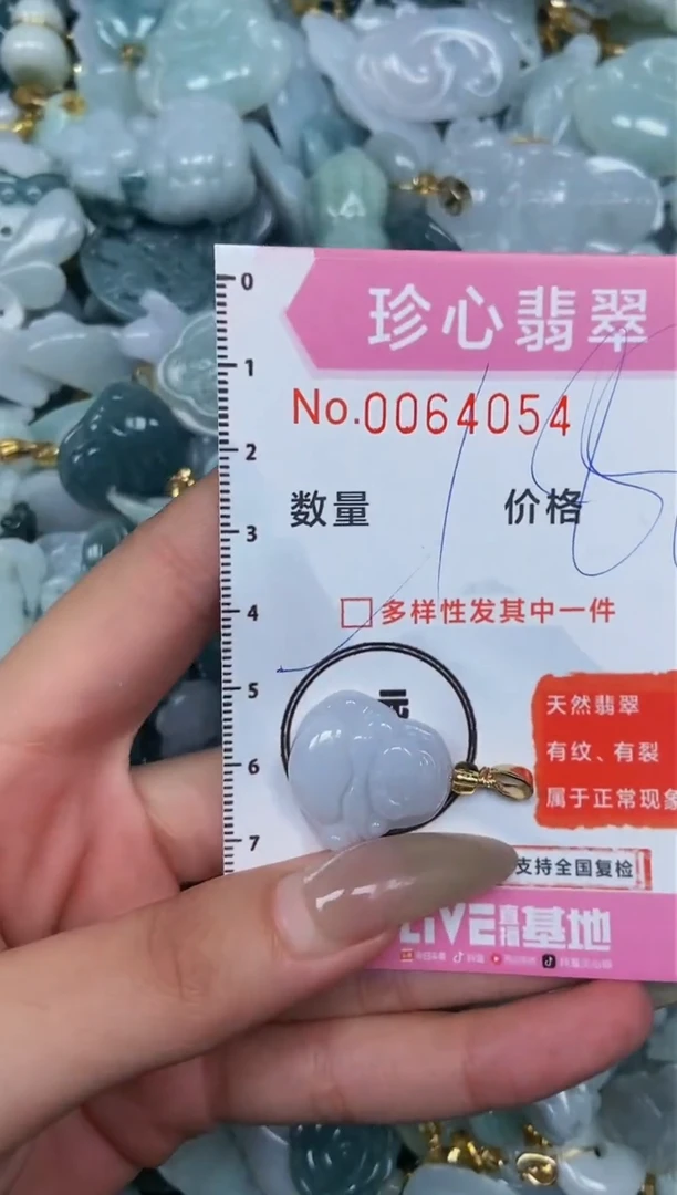 【闪购商品】翡翠颈饰未镶嵌闪购0064054多样性发其一