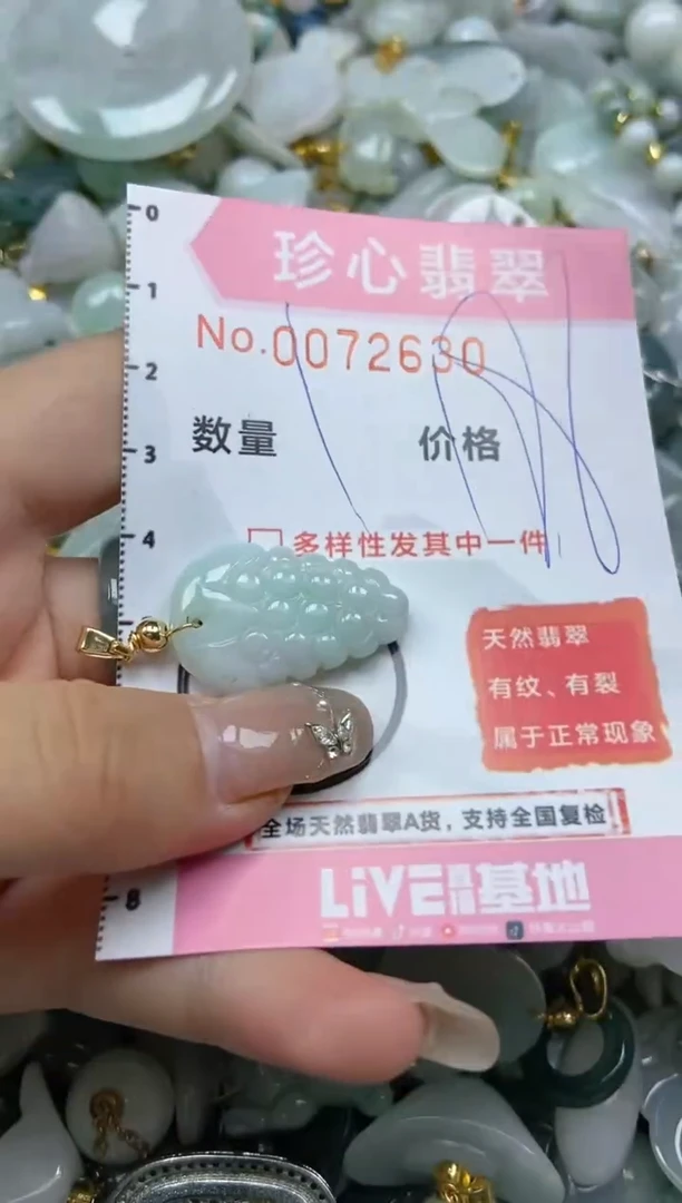 【闪购商品】翡翠颈饰未镶嵌闪购链接0072630