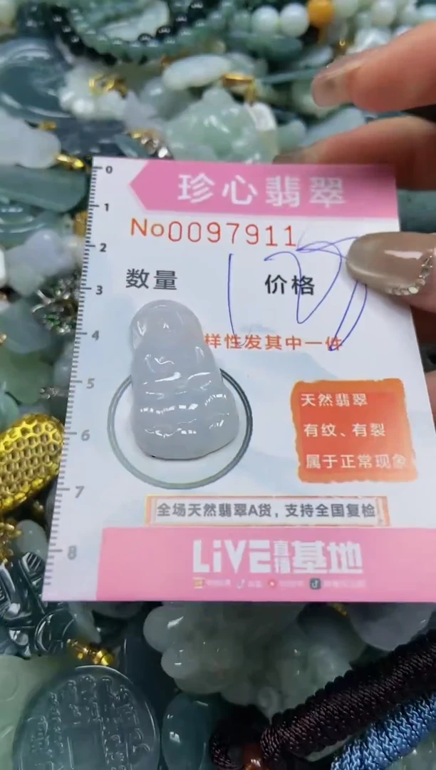 【闪购商品】翡翠颈饰未镶嵌闪购0097911