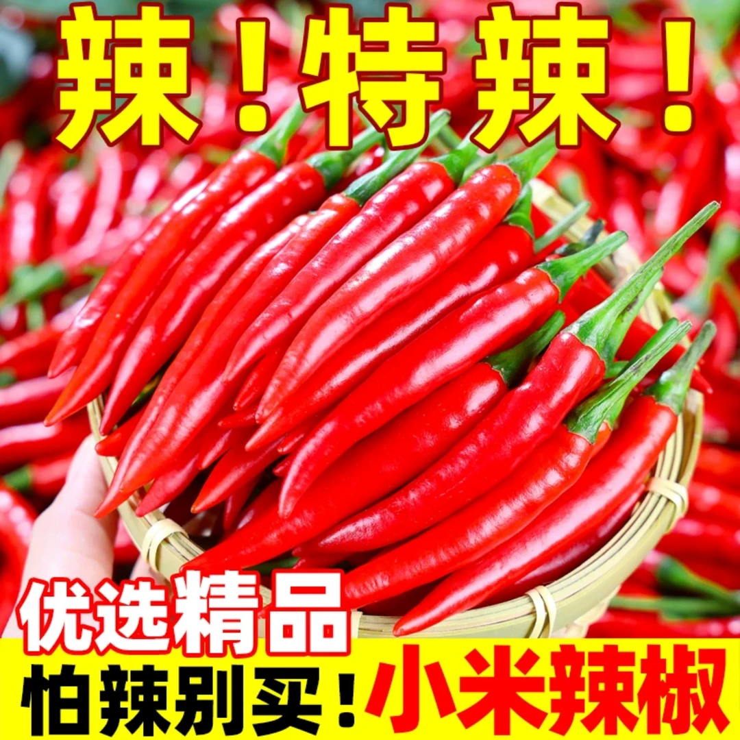 【主播推荐1斤特辣】云南高山种植丘北小米辣椒批发餐饮泡椒剁椒