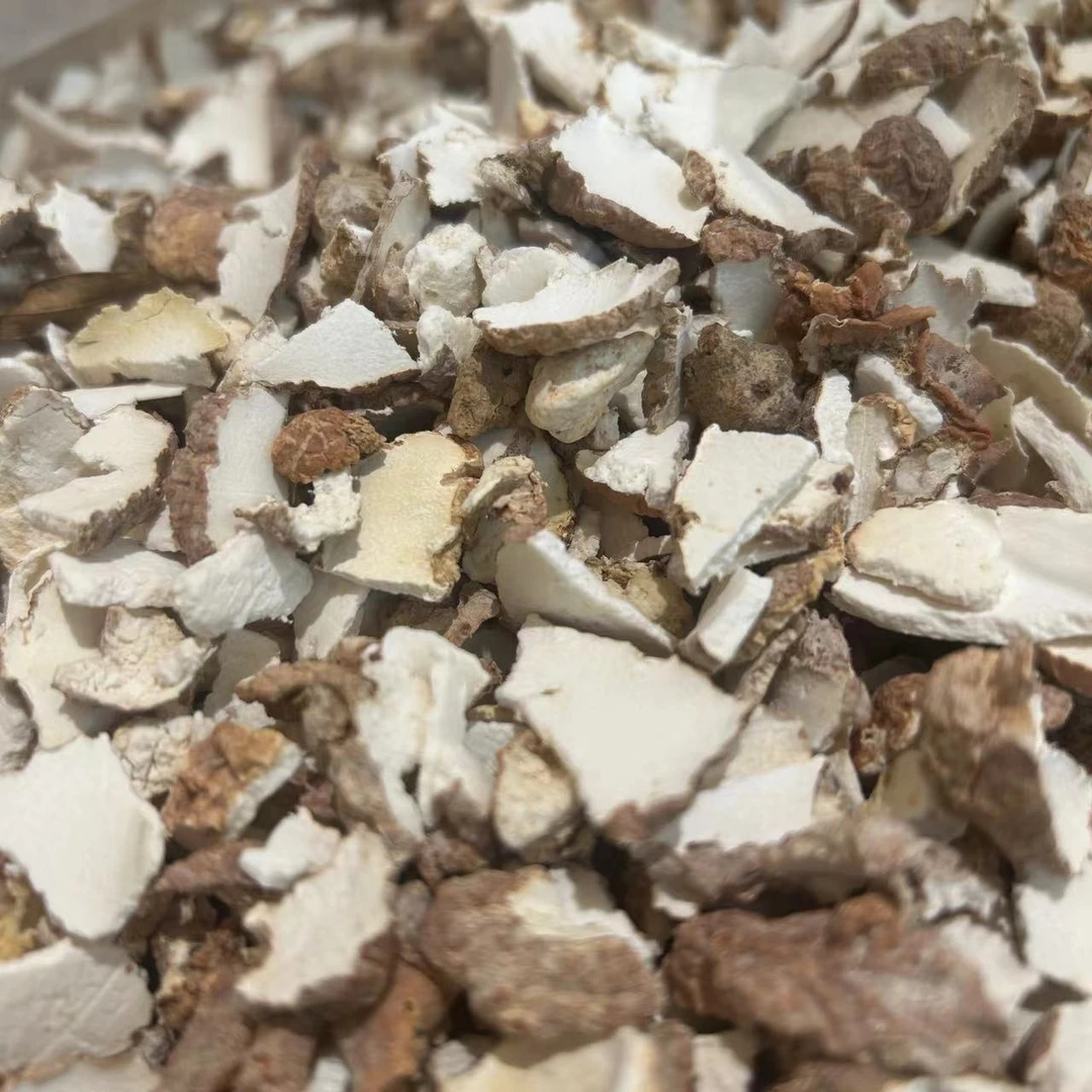 【飞飞精选】正宗无硫虎奶菌碎片 【介意勿拍】-山药