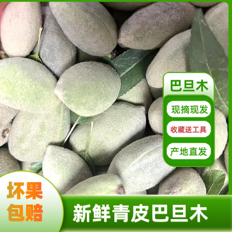 新鲜现摘绿皮巴旦木当季水果原味带青壳即食扁桃仁巴达木新鲜干果