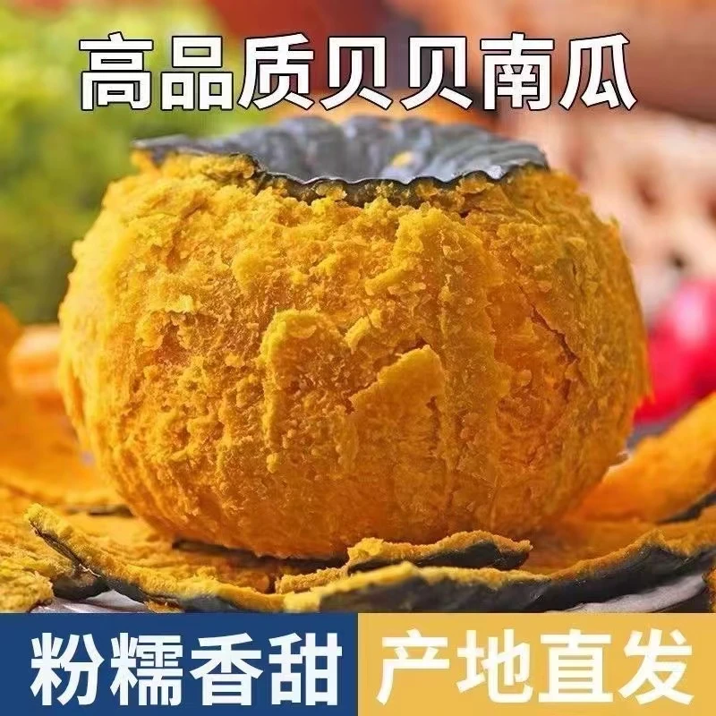【主播补贴】5斤大果贝贝南瓜一箱饱腹感很强栗香代餐食品种植甜糯