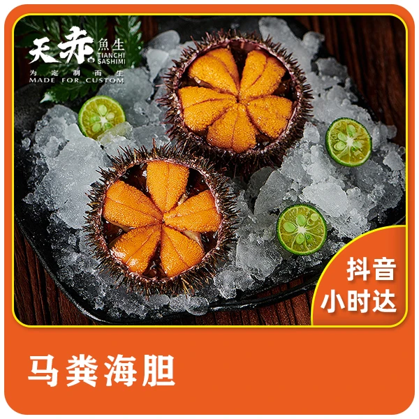 大连马粪海胆1个