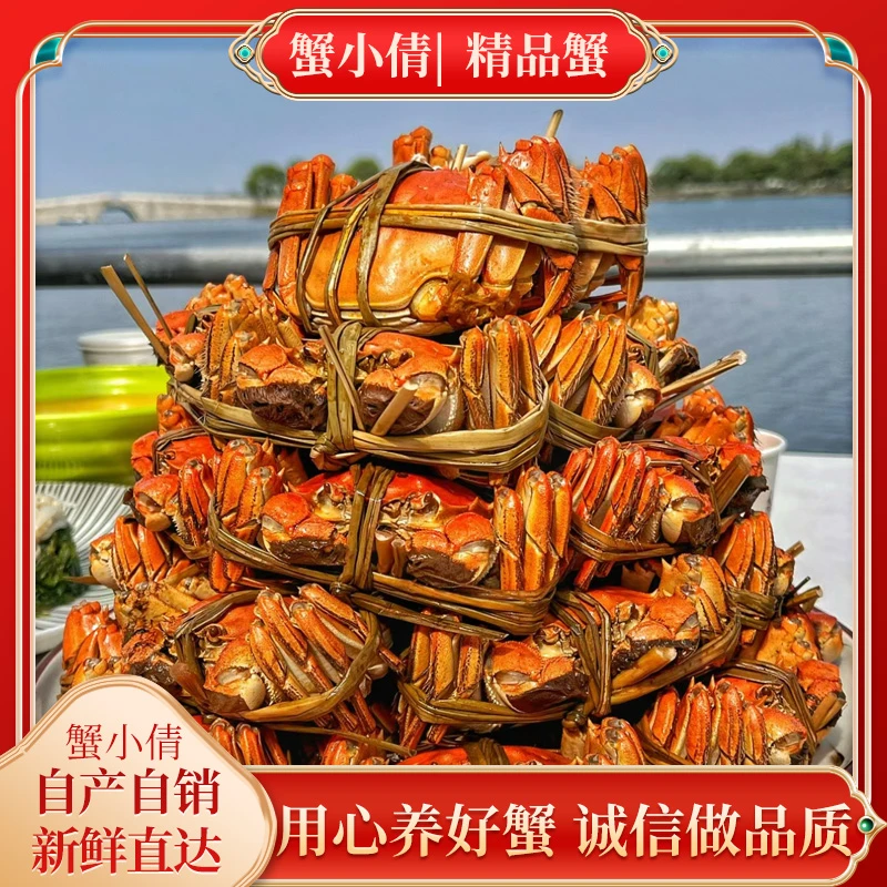 【活蟹赏味】全公蟹4.5-4.9两 买4只送2只 到手6只