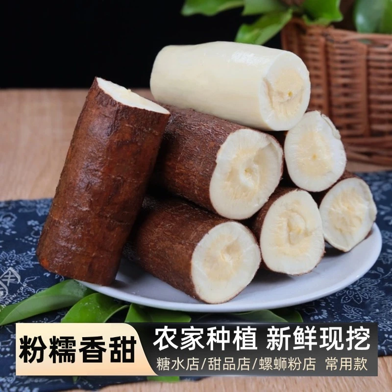 广西白肉木薯面包木薯真空打包新鲜现摘