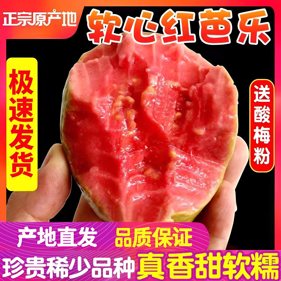 广西红心软芭乐大果红心番石榴新鲜水果香1/5斤香甜当季水果好吃