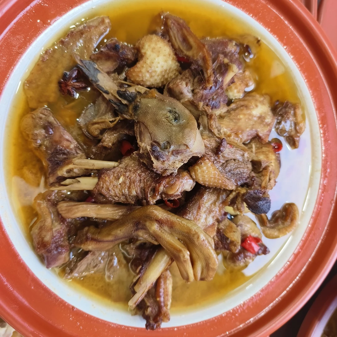 红烧绿头麻鸭加热即食红焖鸭肉农村散养笨麻鸭半成品红烧老鸭煲