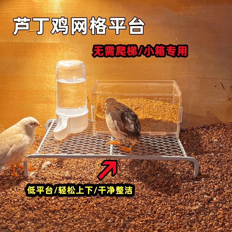 芦丁鸡网格平台置物架造景用品镂空宠物分层餐桌饲料盒水壶套餐