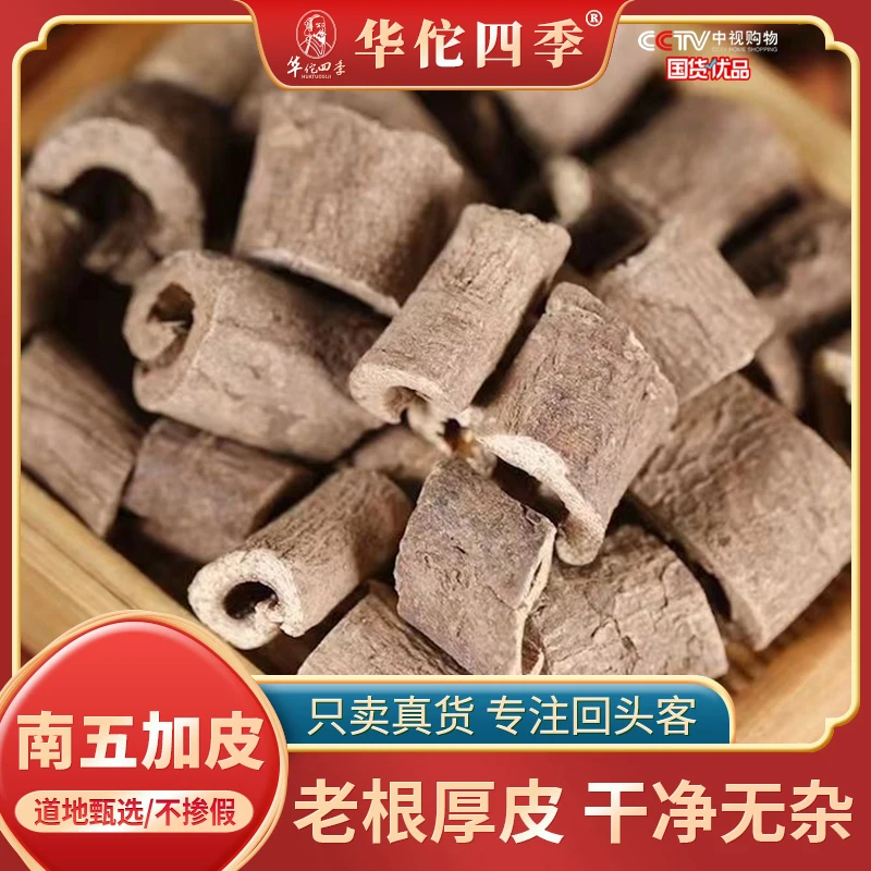华佗四季南五加皮湖北原产五加皮野生泡茶泡酒新货无硫