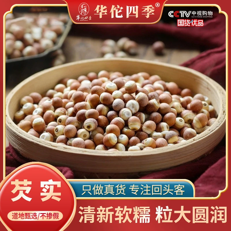 华佗四季芡实干货 新鲜大粒广东肇庆无硫芡实整颗大果当季新货