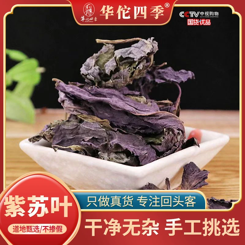 华佗四季紫苏叶新鲜苏子叶食用干货干净无杂泡茶烧鱼虾蟹去腥泡水
