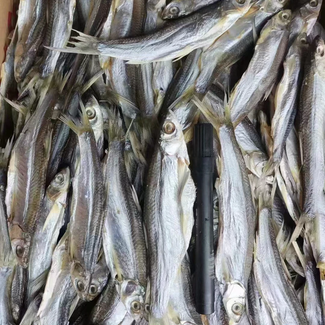 安徽舒城万佛湖  家乡小干鱼